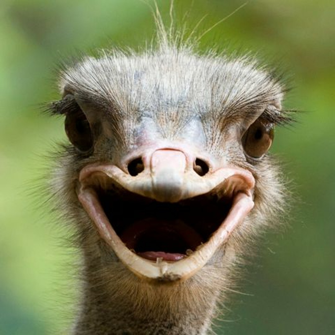 Sensual melodies fill the air