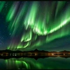 Beta Chandra Wisdata