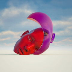 hobot ann