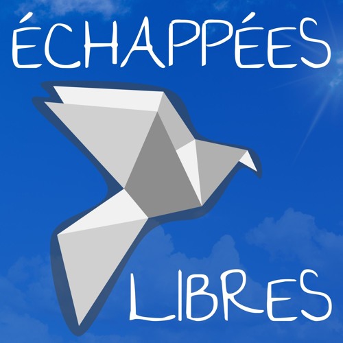 states of flow - échappées libres podcast’s avatar