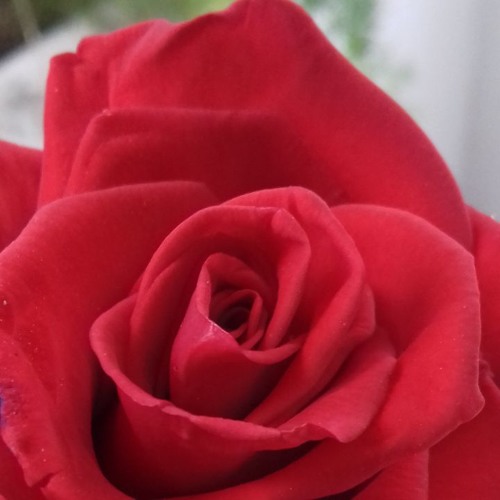 نجوى كرم - حبيبي مين