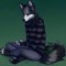 Zachary The Furry