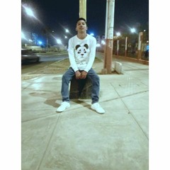 EL PERREO DEL CANGURO - DJ CARLITOS FT DAYCER MC