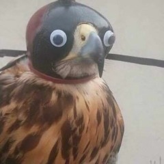 probably some dumpster dude