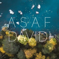 Asaf Davidi