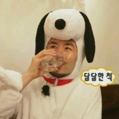 토끼흰