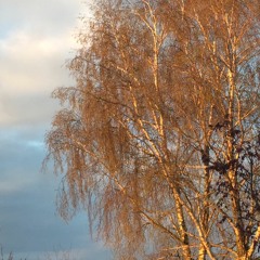 Death Letter Records