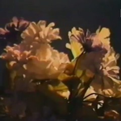 mystiske krefter