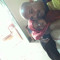 hosham mhmd