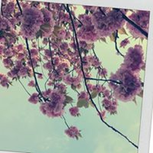 Stream Tiffany Chen music Listen to songs, albums, playlists for free(02)