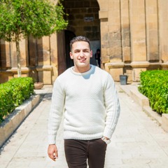 Wael M.Hesham