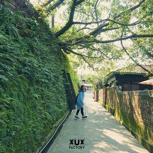 偷偷 - --杨景涵