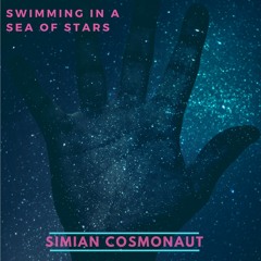 Simian Cosmonaut