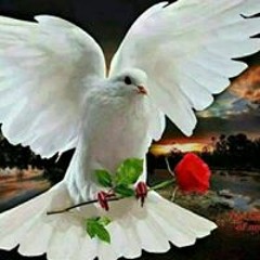 Manal Shoaib