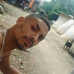 bileu rl