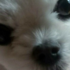 초성퀴즈