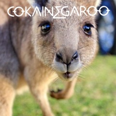 Cokainegaroo