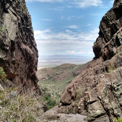 Mission - Steve Davis