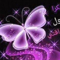 ربيع ربيع
