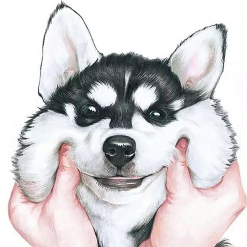 Anonymus Pup’s avatar