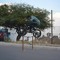Eduardo Mondragon