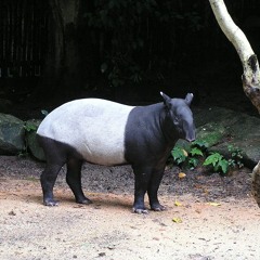 Landlocked (Work in Progress)