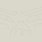 The Face Less Sensation