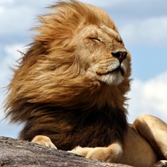 Prasanth