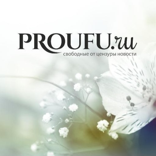 ProUfu RU’s avatar