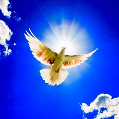 Meadows Of World Peace