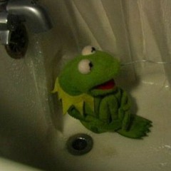 kermit that one frog