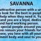 $avanna