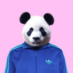 moe.rabbit