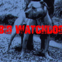 Big Watchdog