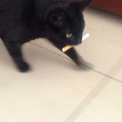 okolotec
