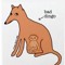 AusDingo