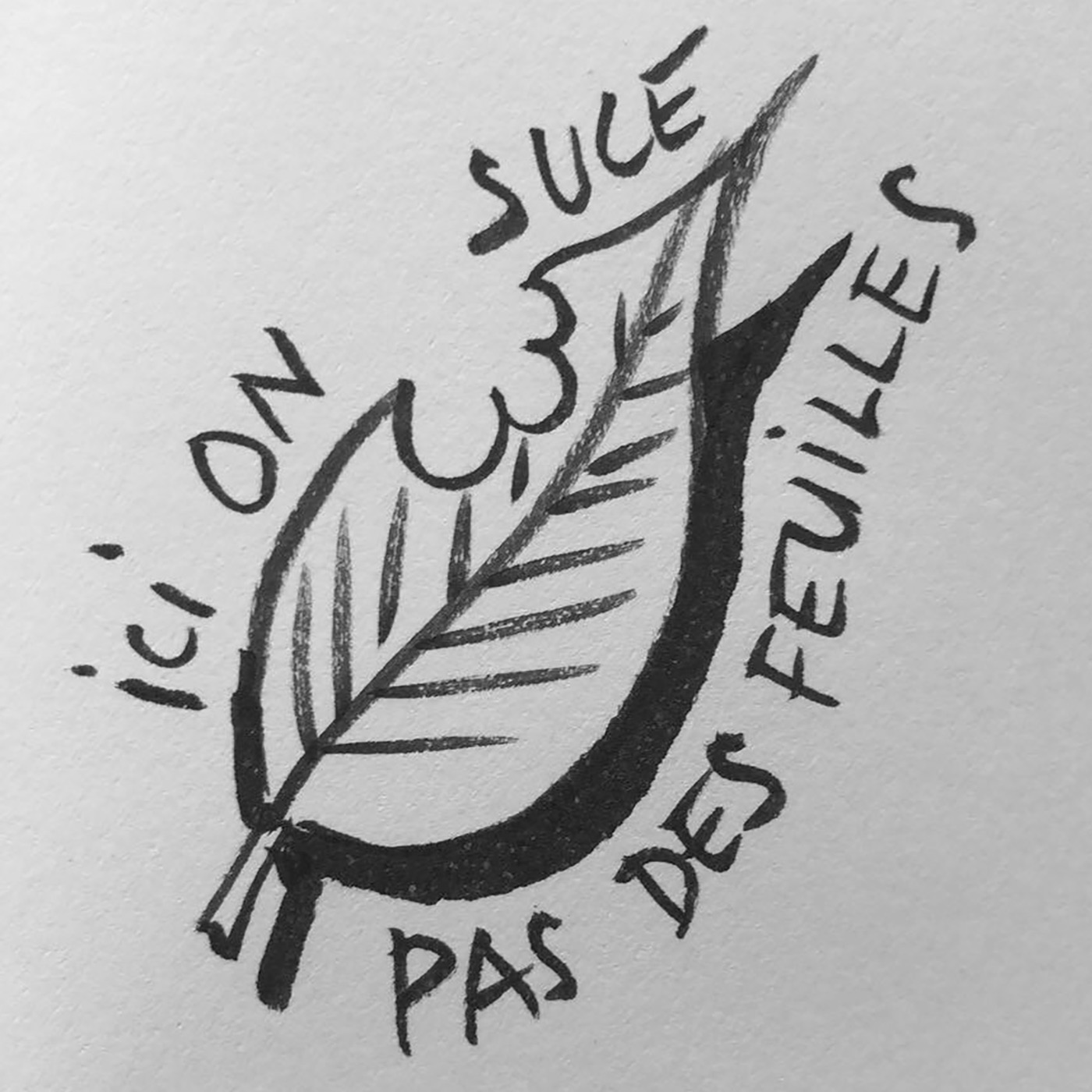 Ici on ne suce pas des feuilles