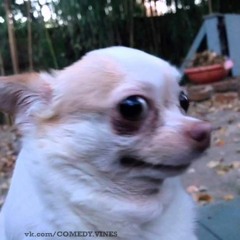 im a guy lolololololol   XD