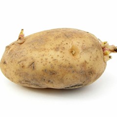 potato234