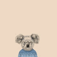 KOALA BOY