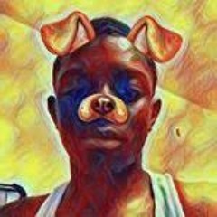 yungbull.sir2900