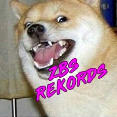 ZBS REKORDS