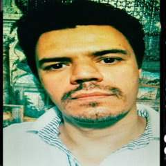 Marcus F Guedes