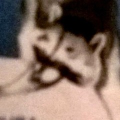 Cementerio De Mascotas