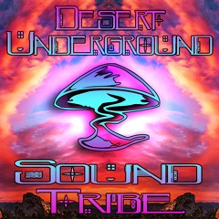 DUST - Desert Underground Sound Tribe