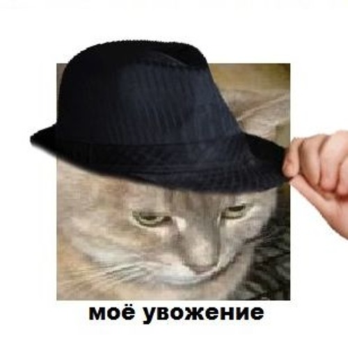 Picture background