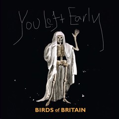Birds of Britain