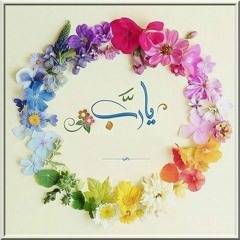 Amira Ahmed El-shaarawy