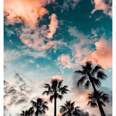 ⭐ Indigo Coast Repost ⭐