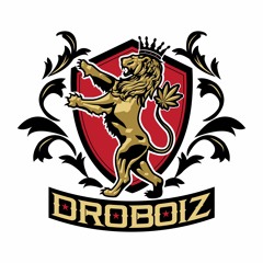 DroBoiz